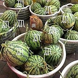 www.199麻豆：淮南市最新高清资源获取指南