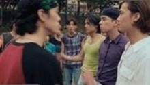 人or狗dna与猪ordna的配合与防治官方版下载：科技与争议的交汇点