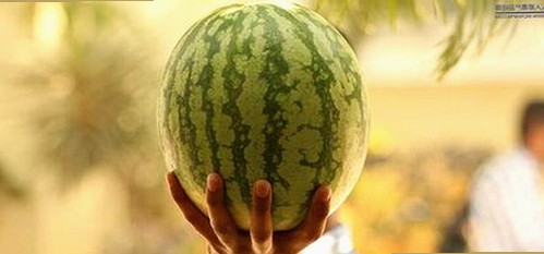 红桃影院免费观看电视剧电视剧高清官方版免费版：轻松追剧的最佳选择