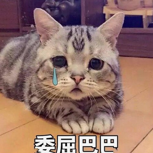 17c在线观看2026最新版：最新资源与安全指南