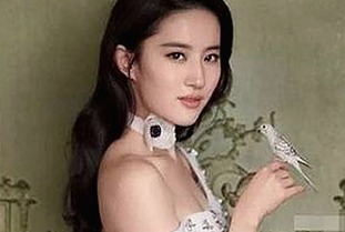 小🐔🐔伸进🈲🔞🔞A：引发热议的极端内容与网络热点