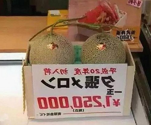 详解91漫画免费版:最新高清看片体验及下载资源