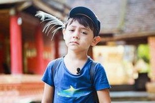 揭秘高清乱码🔞❌♋免91官方版免费版:网络内容的新现状与挑战