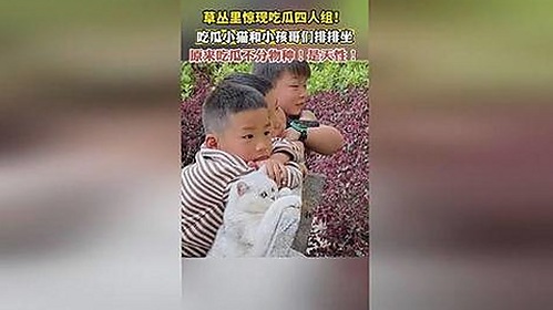 最新91漫画安装包下载指南:畅享高清动漫体验