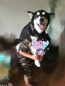 已满十八在线观看高清电视剧推荐免费版：了解最新影视资源与热议内容