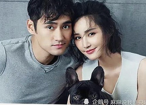 如何通过免费观看40分钟大片的电视剧免费版下载畅享精彩剧集