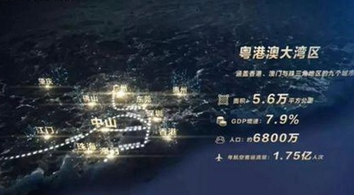 樱花视频：探索乐山市最新影视资源与内容平台