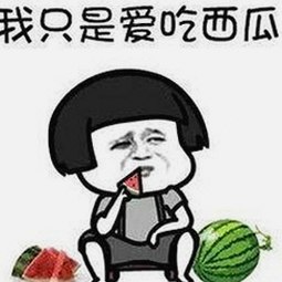 小伙子泻火老阿视频官方版:最新动态与下载指南