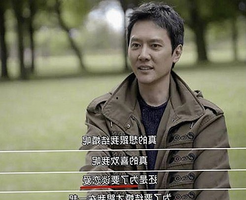 樱花视频官方版正版下载：畅享高清内容与丰富资源