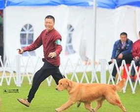 揭秘高清乱码🔞❌♋免费17c免费版:让你轻松享受精彩影视体验