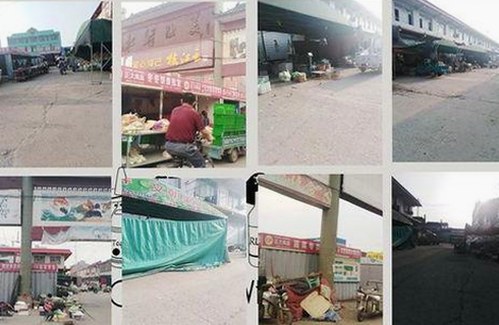 91看片官方版下载：安全体验与资源介绍
