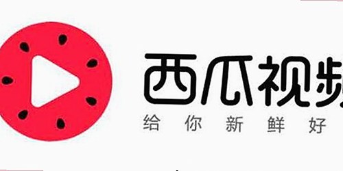 成人网官方版最新动态：7777最新版下载带来全新体验