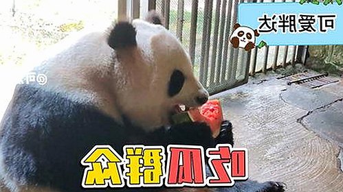 全面解析91秀安卓版：最新影视资源与登录入口指南