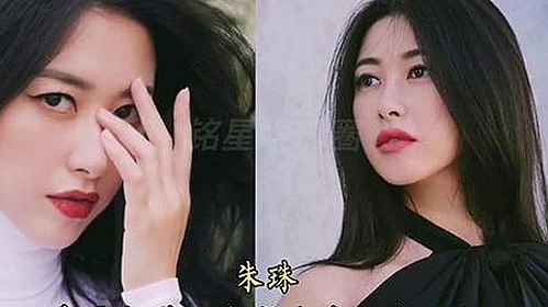 人动物高清免费观看普通话官方版：最新资源和观看指南