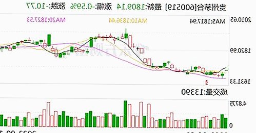 最新动感小站在线官方版:全面升级,体验更流畅