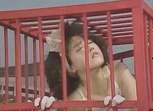 探索免费91官方版,畅享精彩内容和多样资源