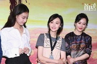 解析：免费黄色官方版与市场变化的现状对比
