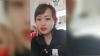 探索www91终极手册：从刘宇宁娱乐动态到最新免费下载指南