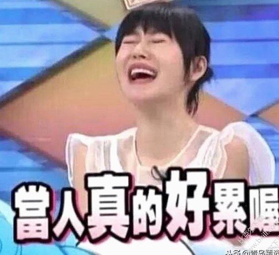探索惠州市用户的首选:茄子视频官方版的多样体验