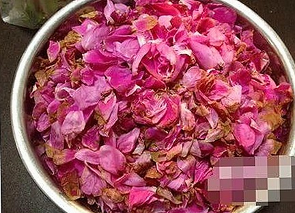 探索免费看mv大片的app免费版官方版,轻松享受高清视听体验