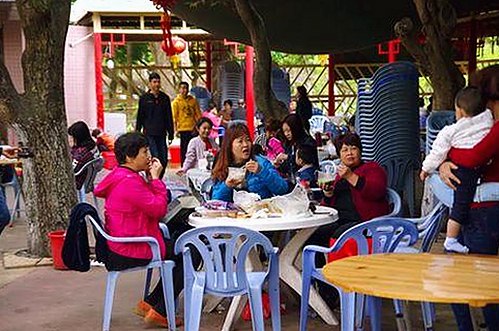 最新解析:临沧市用户如何便捷获取免费91官方版下载