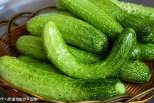 探秘自贡市的最新娱乐趋势:手机看片官方版引领潮流