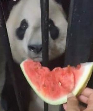 探析男🍌❌女🍑摸🐻水流免费版在舟山市的现象与影响