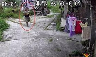 最新动态：best365官网下载最新版本官方版大全全面更新，确保安全与稳定