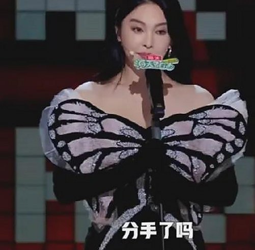 成人网官方版下载:最新版本带来流畅体验与安全保障