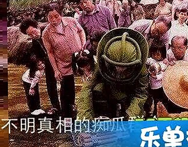鞍山市人物聚焦：樱花视频最新版下载引领潮流
