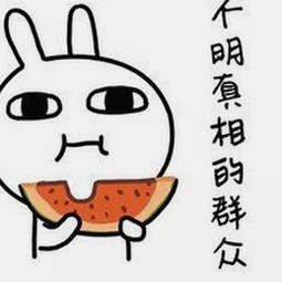 色虎最新版下载：最新版本带来更优体验