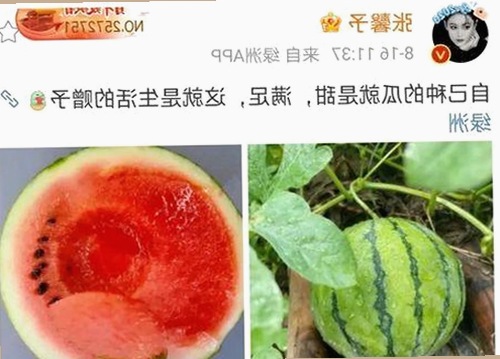 衡水市7777官方版免费版：最新资源解析与应用指南