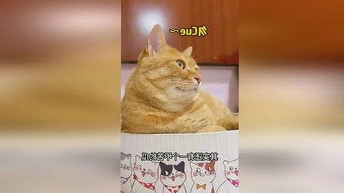 🔞🍌进去里❌❌❌17c视频官方版：孝感市成人内容的新动态