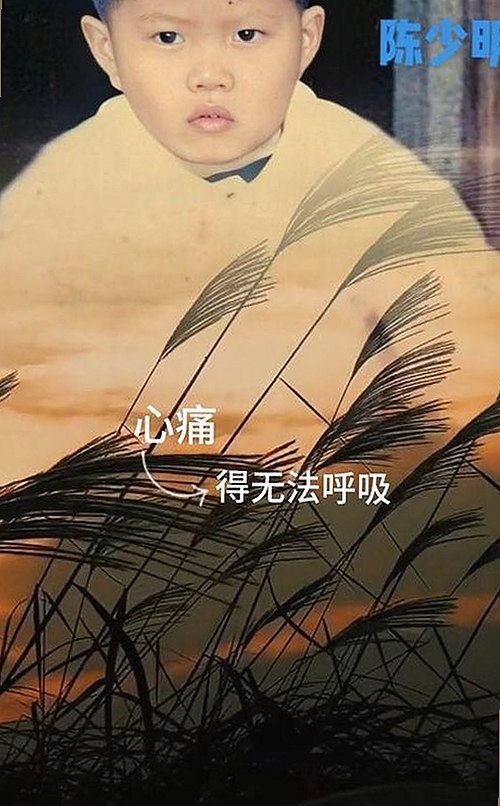 已满十八免费观看电视剧官方版免费版:免费在线观看指南