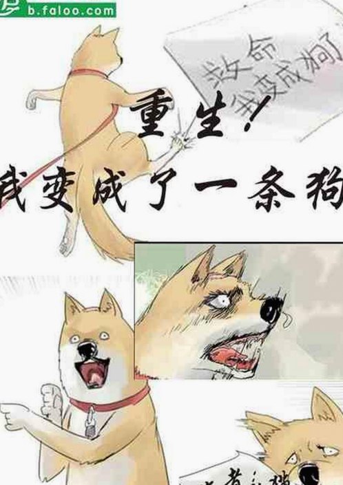 最新资源：十九岁完整版免费完整版中文免费版下载指南