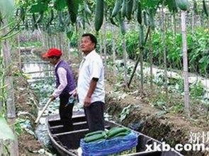 已满十八免费观看电视剧官方版免费版:最新观看体验全解析