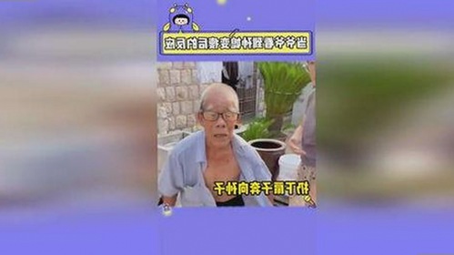 91n与免费版：探索丹东市数字营销工具的不同选择
