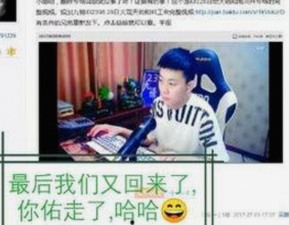 菠萝视频免费版官方版：满足用户多样需求的高清在线播放平台
