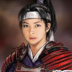 沧州市用户热议:免费黄色官方版的最新动态与使用体验