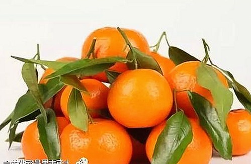 探秘吉林市新晋“91香蕉”餐厅:美食与创新的结合