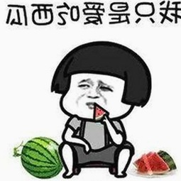 最新2024版17c在线观看官方版正版下载指南