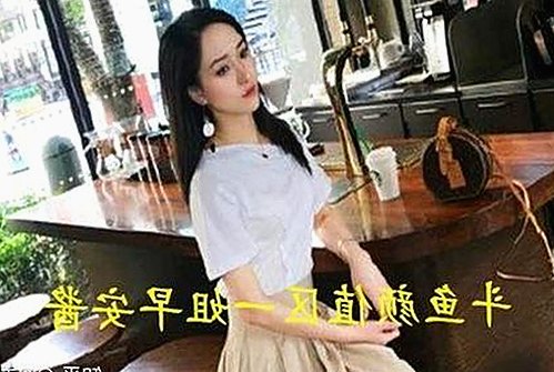 17c在线观看官方版正版下载：探索最新在线影院体验