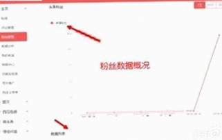 最新指南:小🐔🐔伸进🈲18网站最新版下载全攻略