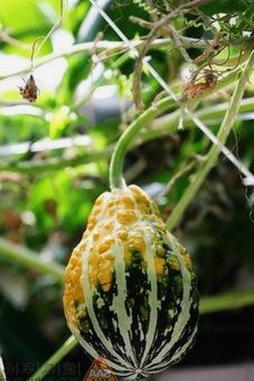 最新发现：🔞🍌进🍑里❌❌❌面免费版带来的新变化