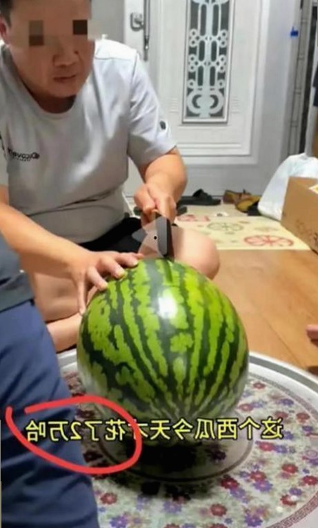 最新发现：🔞🍌进🍑里❌❌❌面免费版带来的新变化