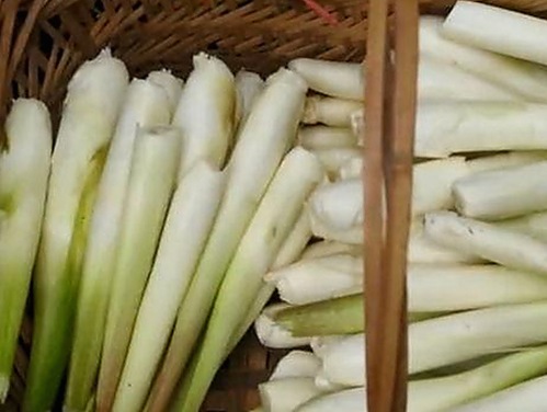 南阳市关于小🐔🐔伸进🈲🔞🔞A事件的最新调查分析