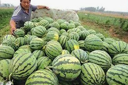 红桃影院免费观看电视剧电视剧高清官方版：追寻高品质视听体验的最新平台