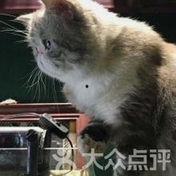 91禁🍆🍑🔞❌❌❌看片17cco官方版下载：最新资源介绍