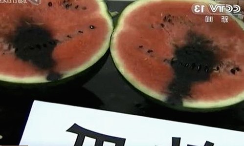 成人抖音官方版：引领内容规范与用户体验提升的关键工具
