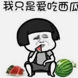 深入探讨91香蕉视频免费版官方版:最新版本带来的用户体验变化